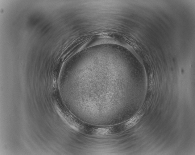 X0000057080176200509161613