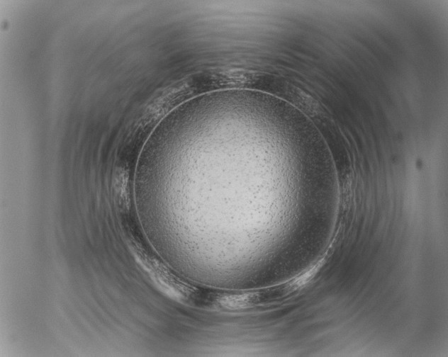 X0000057080178200509161613