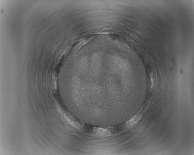 X0000057080180200509161613