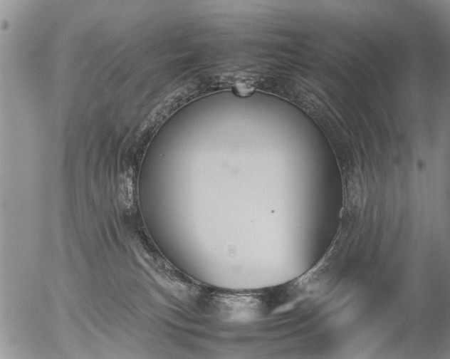 X0000057080183200509161613