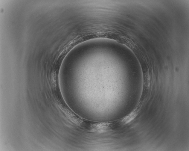 X0000057080184200509161613