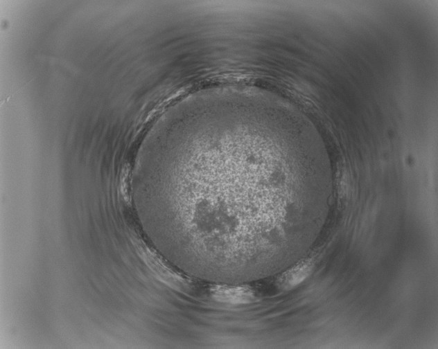 X0000057080185200509161613