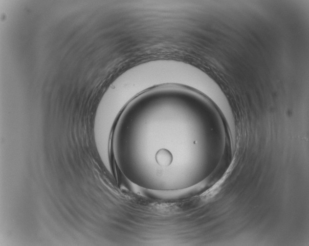 X0000057080186200509161613