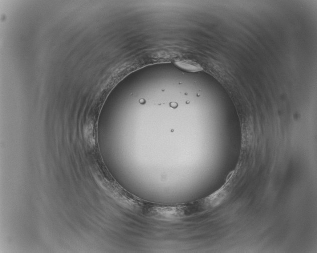 X0000057080187200509161613