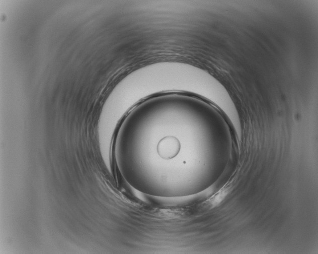 X0000057080188200509161613