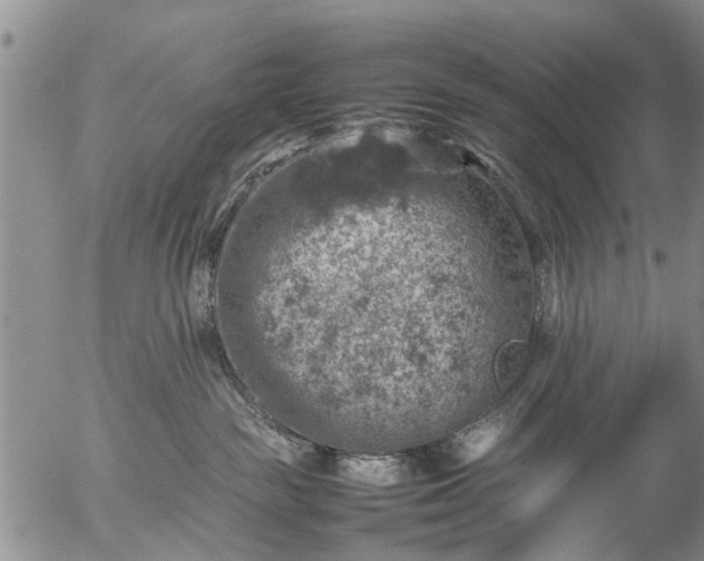 X0000057080189200509161613