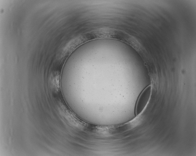 X0000057080190200509161613