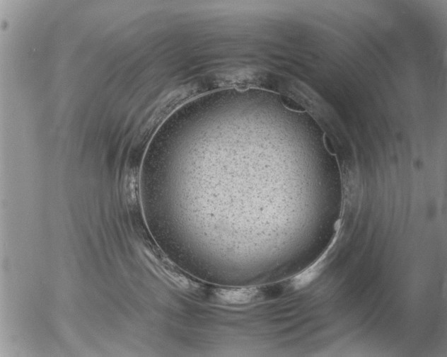 X0000057080191200509161613