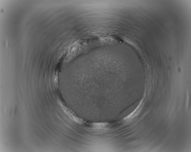 X0000057080192200509161613