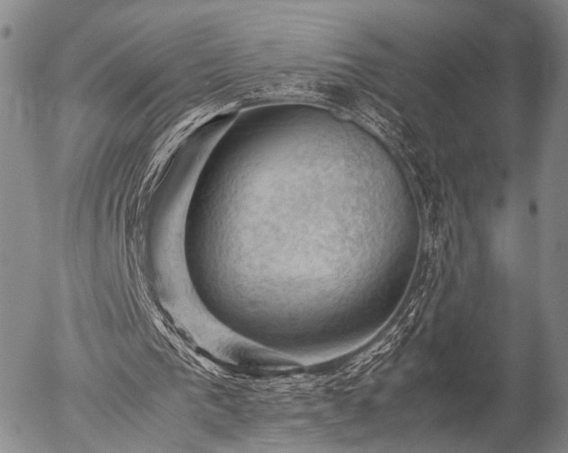 X0000057080193200509161613