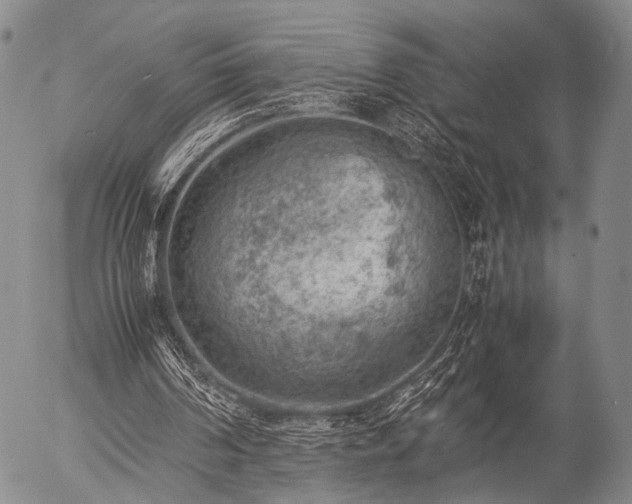 X0000057080194200509161613