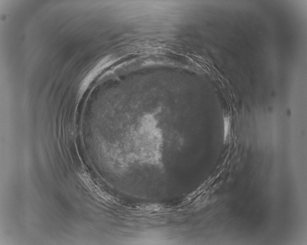 X0000057080195200509161613