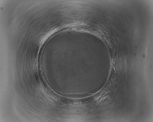 X0000057080196200509161613