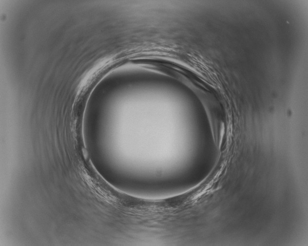 X0000057080197200509161612