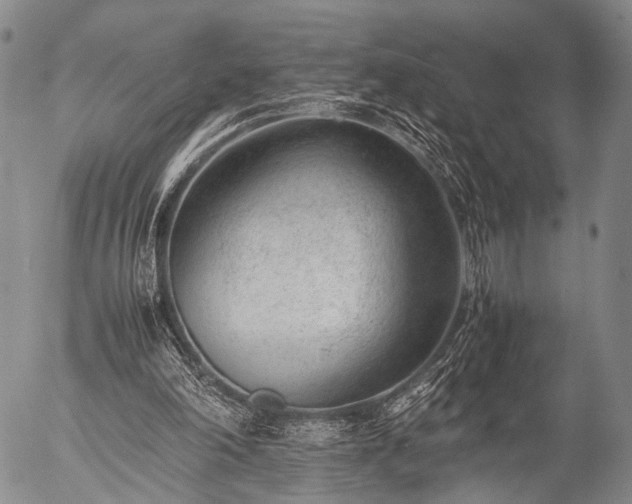 X0000057080198200509161612