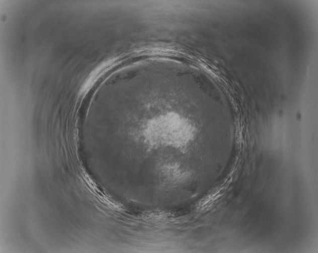 X0000057080199200509161612