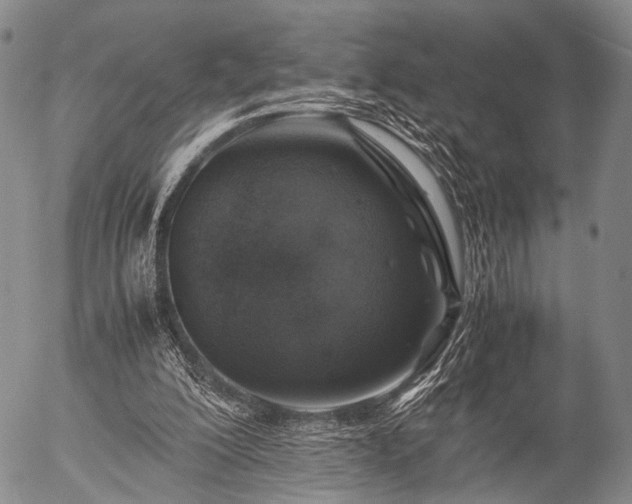 X0000057080200200509161612