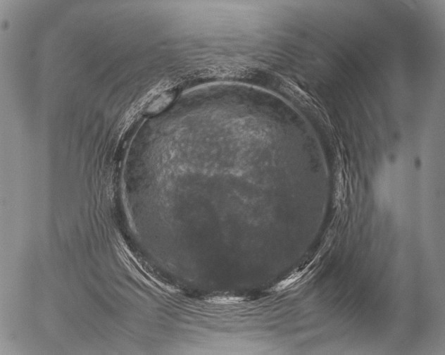 X0000057080203200509161612