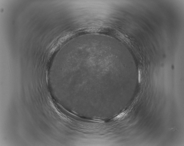 X0000057080205200509161612