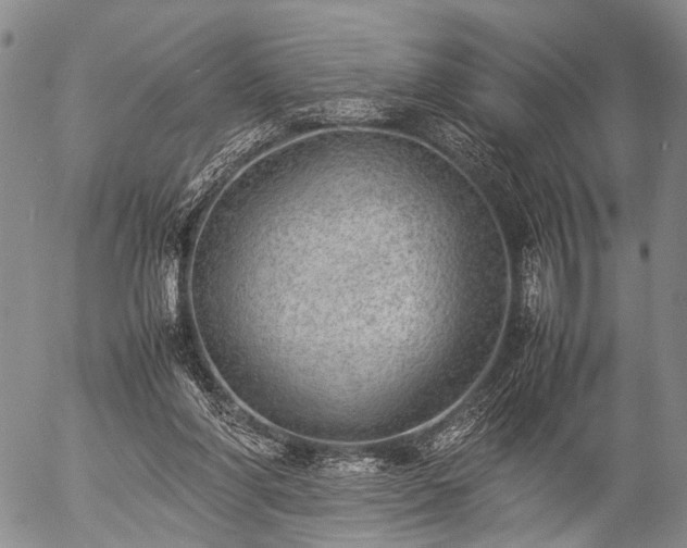 X0000057080206200509161612