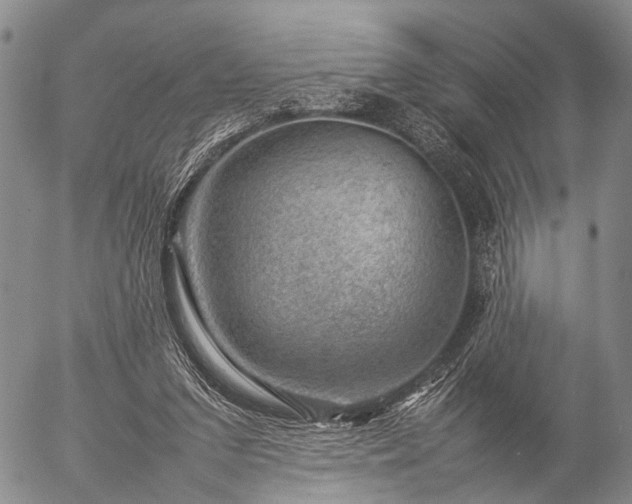 X0000057080207200509161612