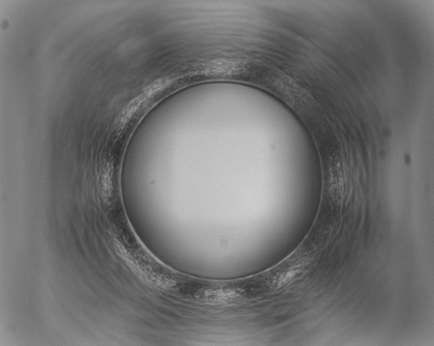 X0000057080208200509161612