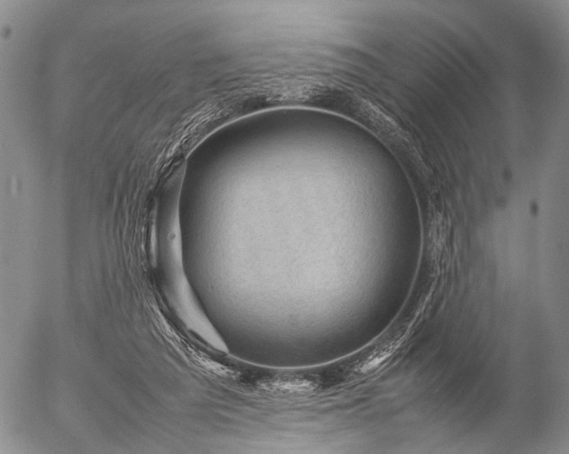 X0000057080209200509161612