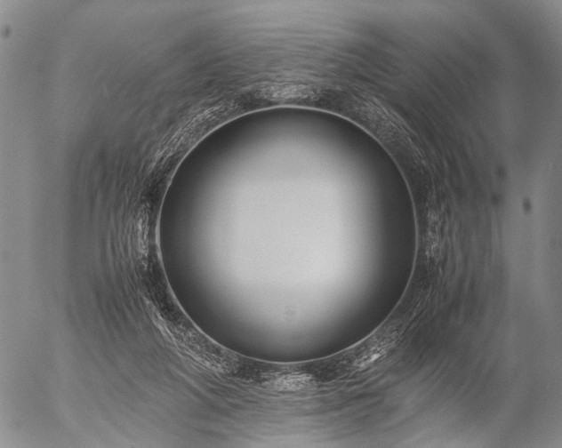 X0000057080210200509161612