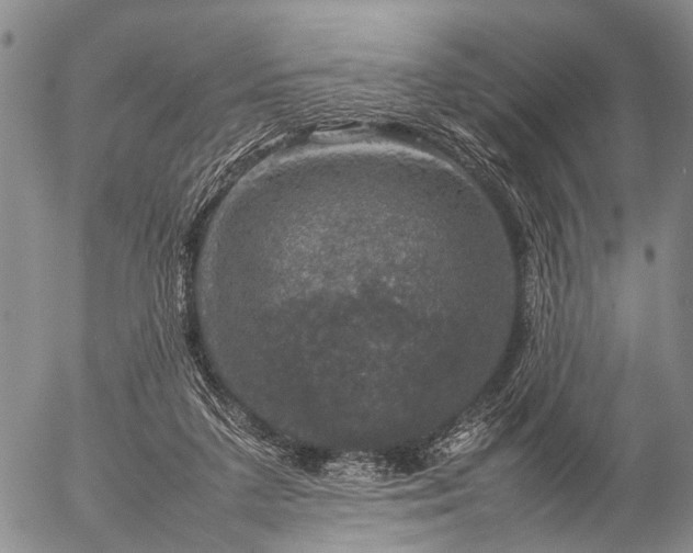 X0000057080211200509161612