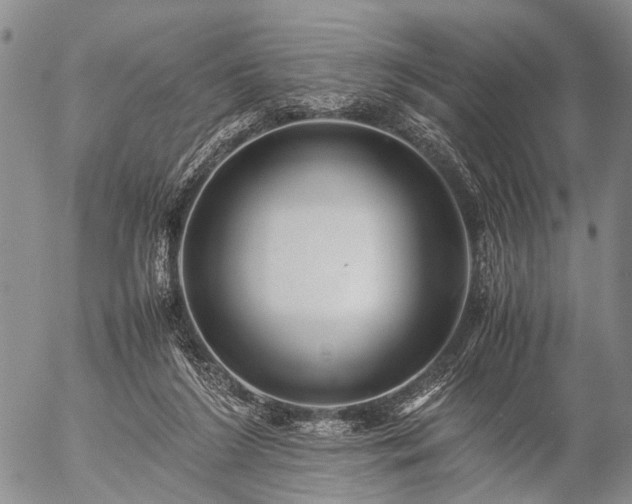 X0000057080212200509161612