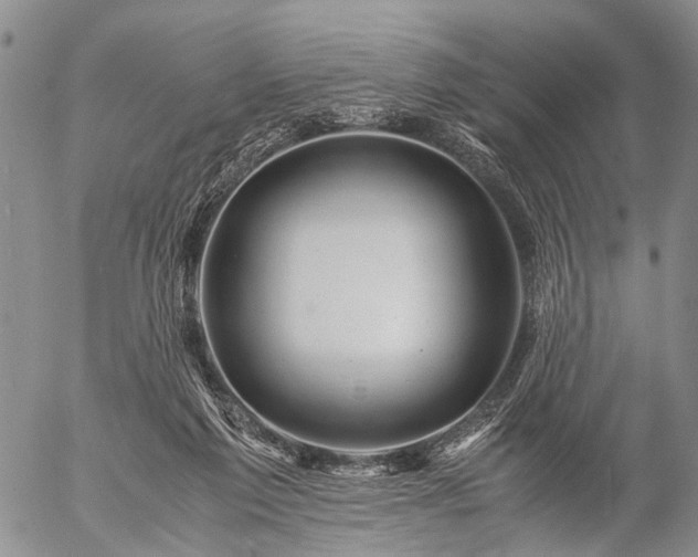 X0000057080213200509161612