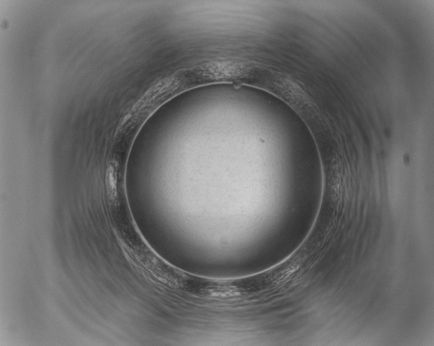 X0000057080214200509161612