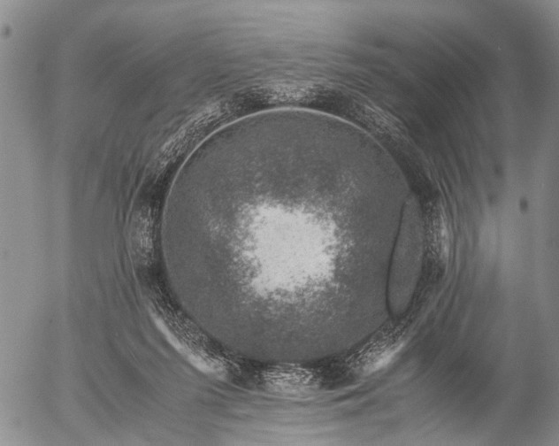 X0000057080215200509161612