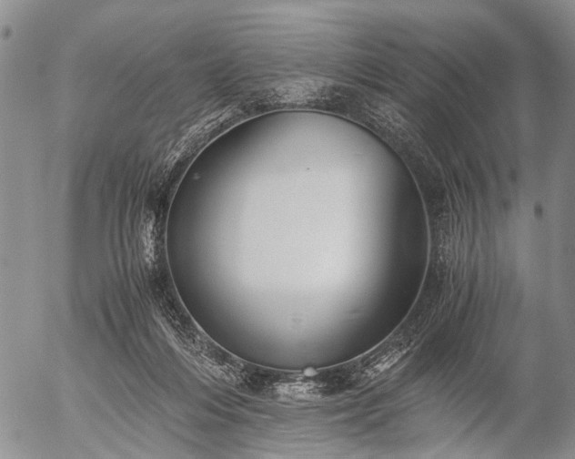 X0000057080216200509161612