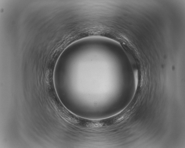 X0000057080217200509161612