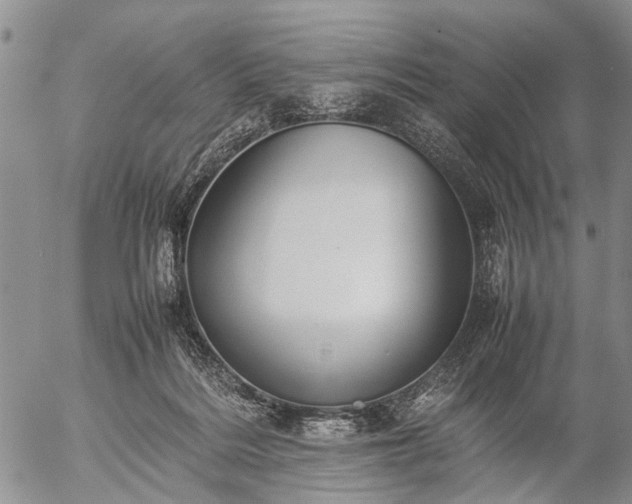 X0000057080220200509161612