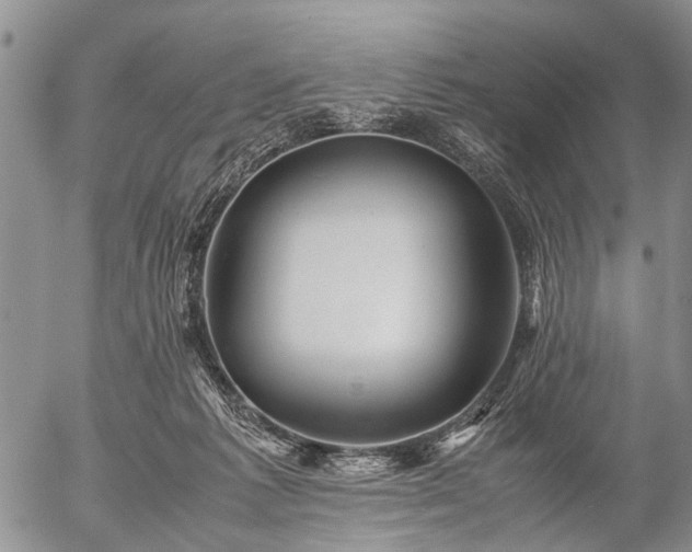 X0000057080221200509161612