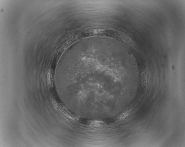 X0000057080222200509161612