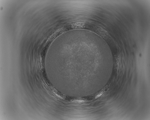 X0000057080224200509161612