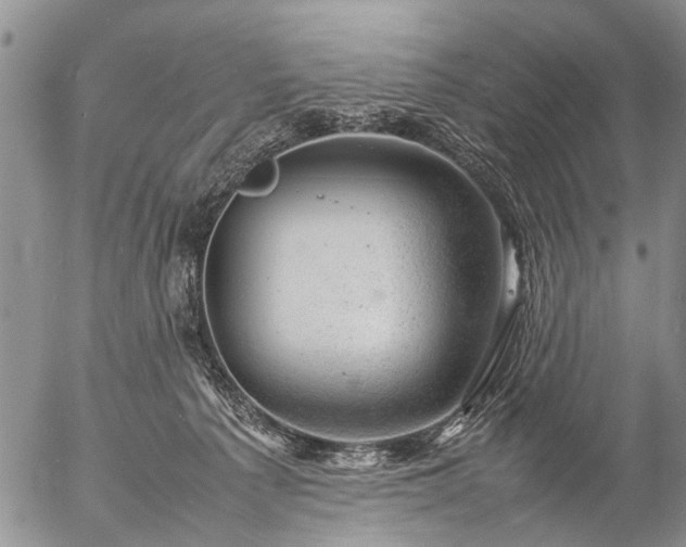 X0000057080225200509161612