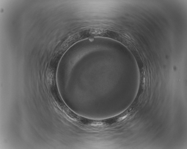 X0000057080227200509161612