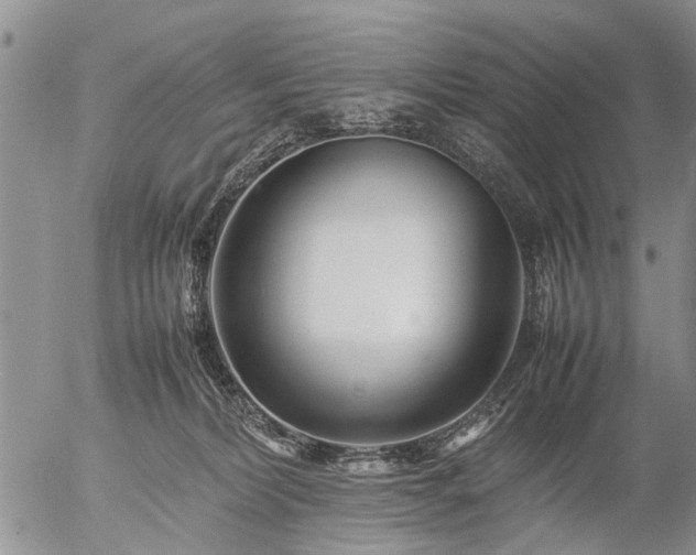 X0000057080228200509161612