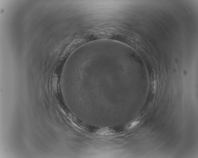 X0000057080231200509161612