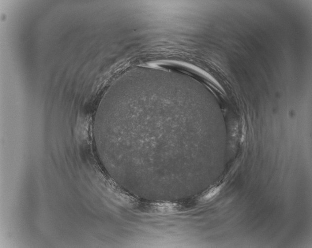 X0000057080233200509161612