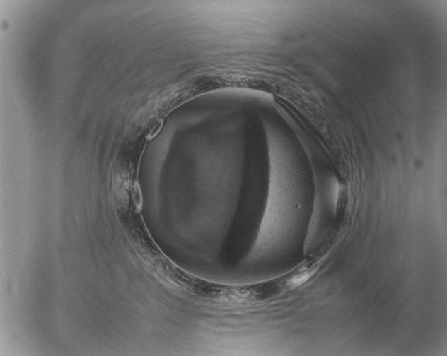 X0000057080235200509161612