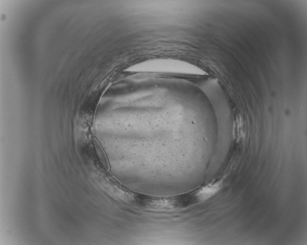 X0000057080237200509161612