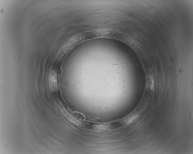 X0000057080238200509161612