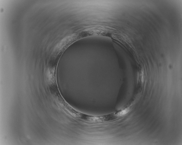 X0000057080239200509161612