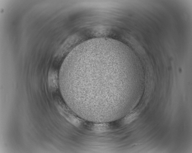 X0000057080240200509161612