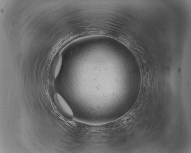 X0000057080241200509161611